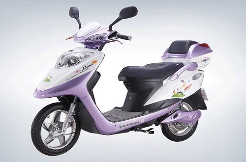 電動(dòng)車(chē)十大品牌，哪種牌子的電動(dòng)車(chē)性?xún)r(jià)比高