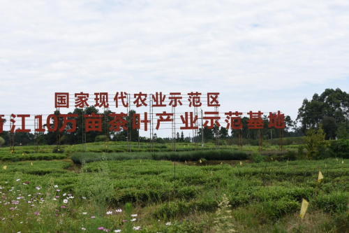 中國(guó)民族品牌 中國(guó)民族品牌