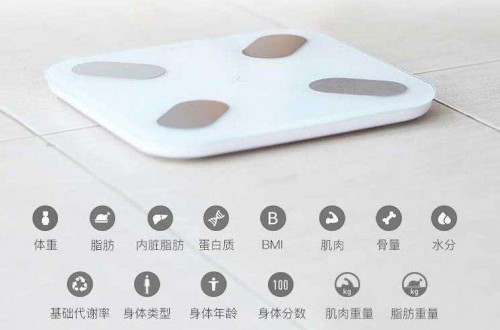 脂肪秤品牌哪個好？體脂稱的相關(guān)數(shù)據(jù)與使用原理