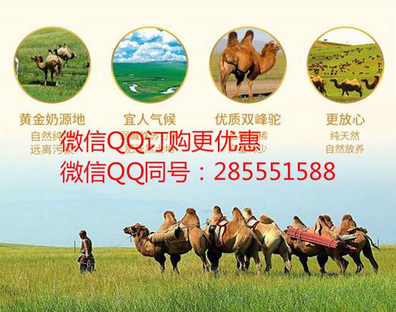 中國民族品牌網(wǎng) 中國民族品牌網(wǎng)