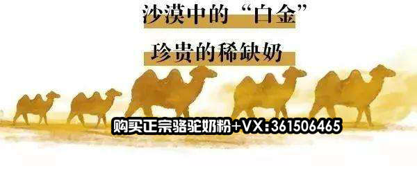 中國(guó)民族品牌