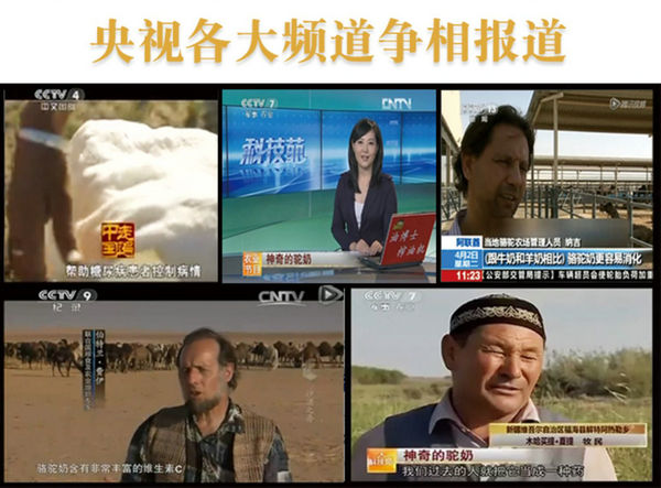 中國(guó)民族品牌網(wǎng)