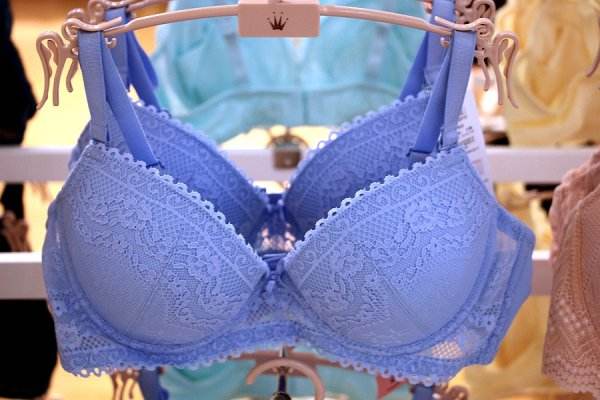 黛安芬內(nèi)衣價(jià)格貴嗎 黛安芬內(nèi)衣品牌故事