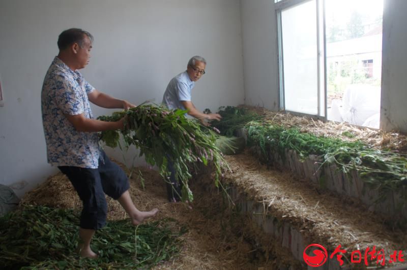 中國民族品牌 中國民族品牌