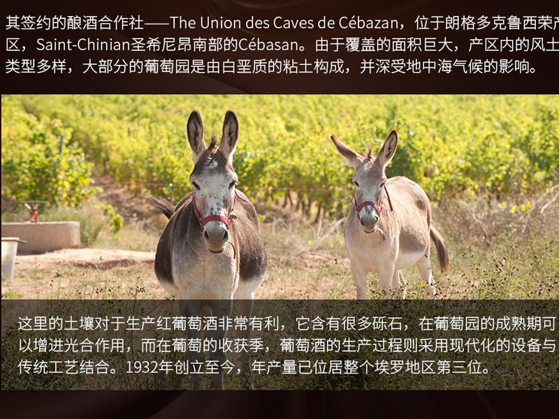 中國民族品牌網(wǎng) 中國民族品牌網(wǎng)