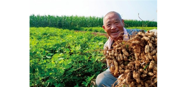 人民好物：打造文化驅(qū)動消費(fèi)平臺 助力國貨品牌發(fā)展