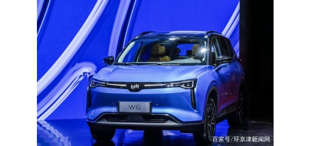 在2020中國品牌新車質(zhì)量排行榜中，威馬汽車位列前三