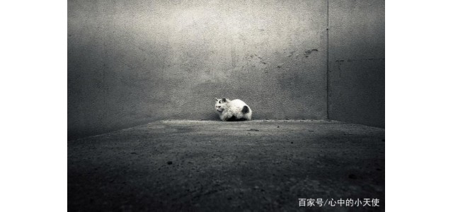 關(guān)于現(xiàn)代的「未來(lái)自閉癥」，專家怎么說(shuō)？