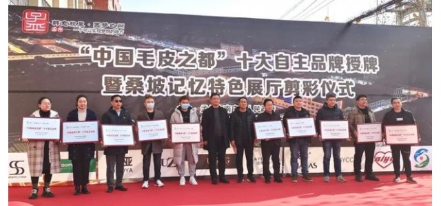 南莊鎮(zhèn)桑坡村十大自主品牌榮耀出爐！