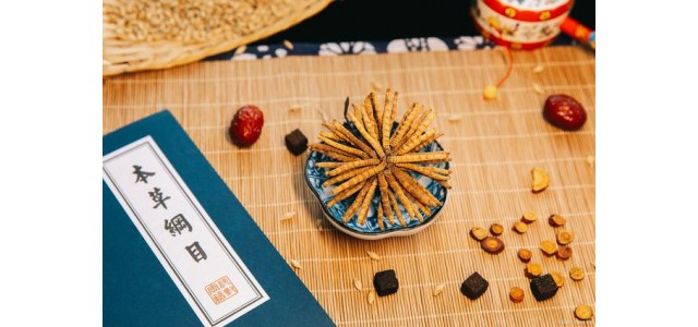 中藥第一民族品牌，股價從163元跌到53元，曾經(jīng)的龍頭還能漲嗎？